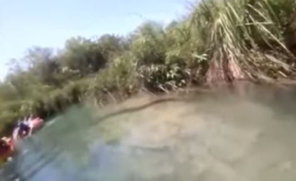 Casal filma sucuri de 7 metros ao descer de boia cross. (Vídeo)