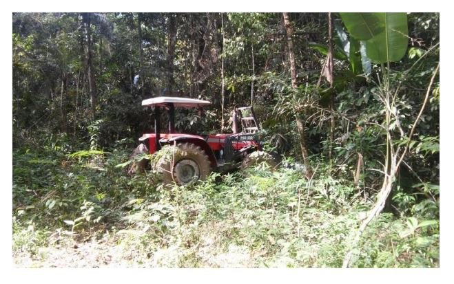 Funcionário de fazenda é esmagado por trator após deitar em moita para descansar