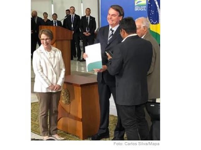 MP moderniza e simplifica a regularização fundiária e incentiva a preservação ambiental