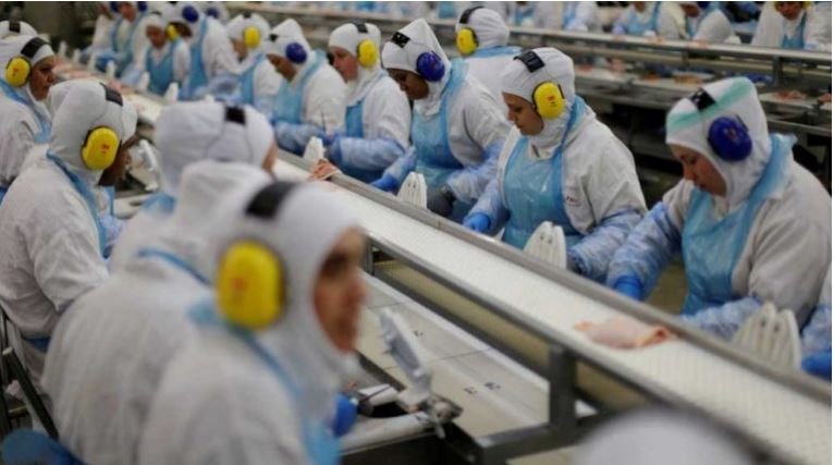 Exportações de carne podem fechar 2019 com resultado recorde