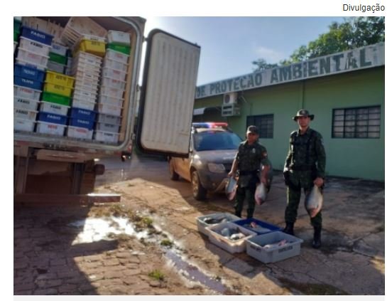 Homem é preso com 10 mil kg de pescado ilegal dentro de caminhão