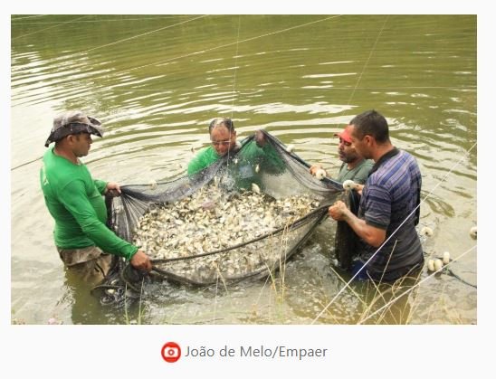 MT regulamenta licenciamento ambiental para atividades de aquicultura
