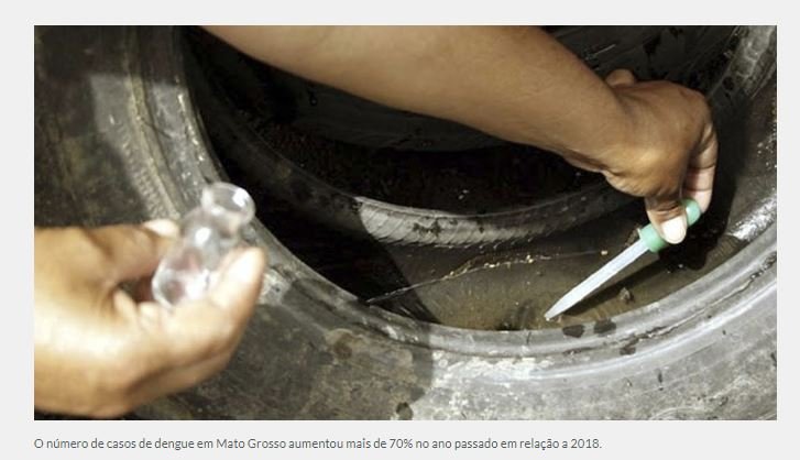 Sinop é a cidade do estado com mais registros de dengue