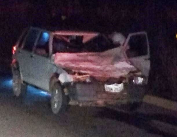 Veículo conduzido por vereador atinge vaca na MT-320 no Nortão