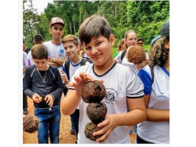 Escola de Itaúba aposta em aula de campo para ensinar bioma amazônico
