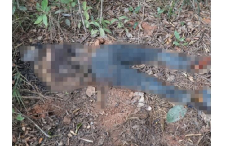 PM encontra corpo de homem sem cabeça às margens de rodovia