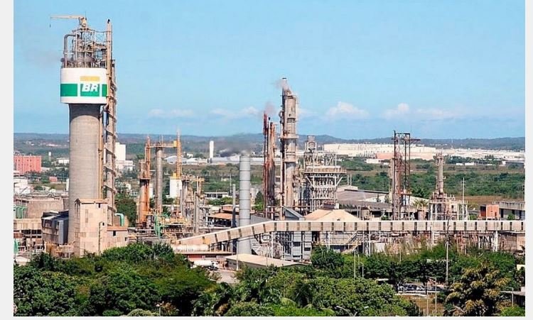 Fechamento de fábrica da Petrobras coloca em risco rebanho de MT