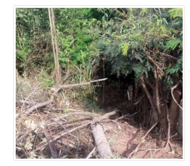 Guarantã do Norte: Homem é encontrado morto com a cabeça esmagada no Nortão
