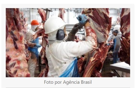 Abate de bovinos cai e o de suínos e frangos sobe no último trimestre