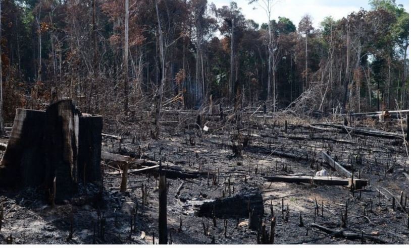 AGU cobra R$ 1,3 bilhão por desmatamento na Amazônia Legal