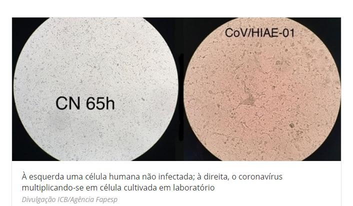 Pesquisadores da USP produzem coronavírus em laboratório