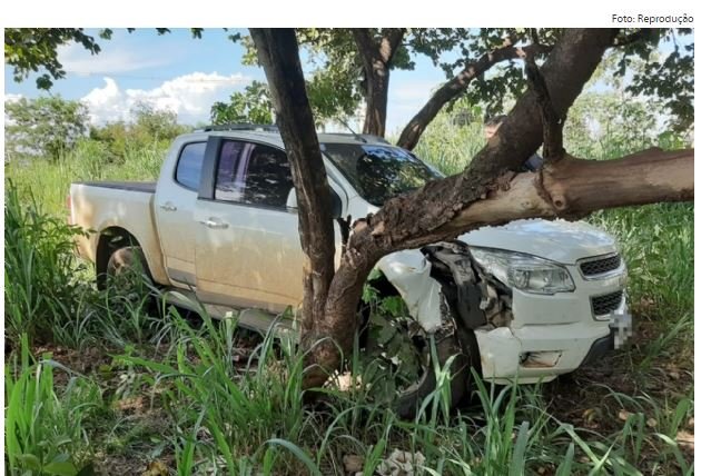 Bandidos roubam S10 e um morre após troca de tiros com PM em matagal; veja fotos