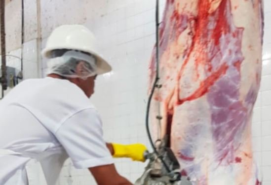 Sema emite licenças e empresa gaúcha começará instalação de fábrica no Nortão