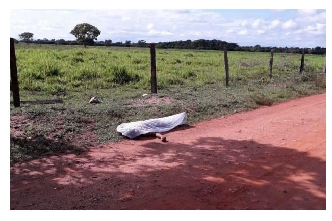 Homem é executado com tiros na cabeça em região de chácaras