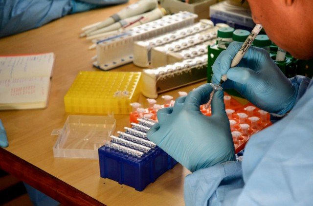MT adota metodologia de Ministério e divulgará só os casos confirmados