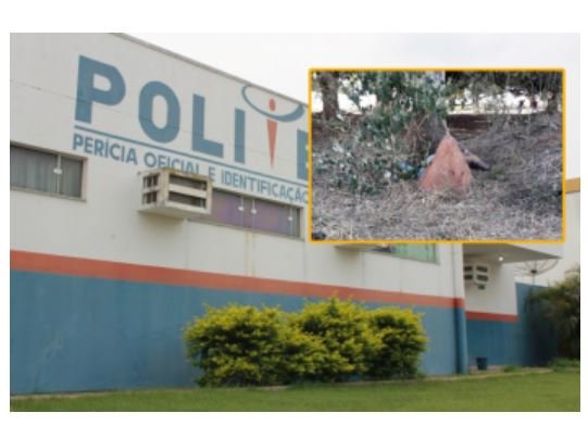 Corpo em estado de decomposição é localizado na estrada de acesso a comunidade Céu Azul