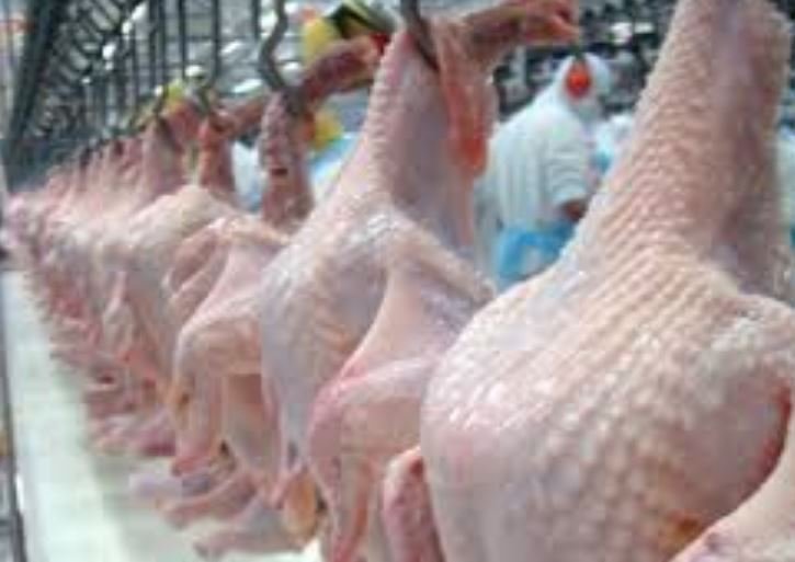 Apesar de início de mês, preços do frango seguem em queda