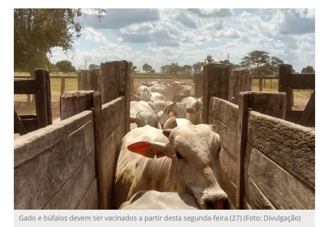 Estratégia para campanha tem sistema drive trhu para informar vacinação
