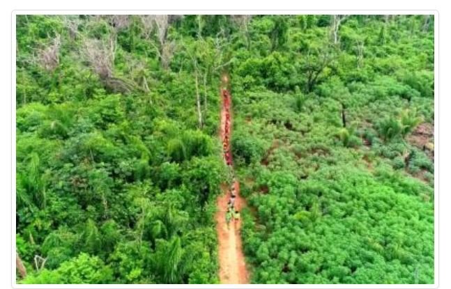 Índios do Xingu temem 'catástrofe' e tentam fugir da Covid-19