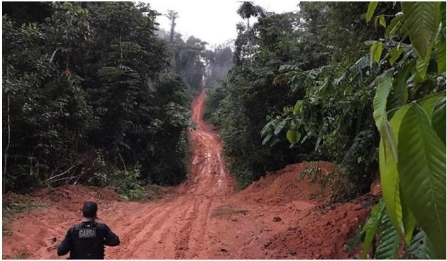 MP comunica governo sobre risco de conflito armado por disputas de terras em Colniza