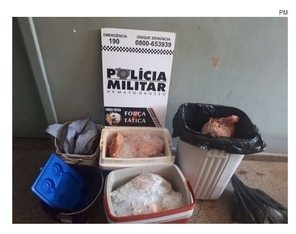 Homem é detido por furtar cachorro, galinhas e leitoa de sítio vizinho. (Fotos)