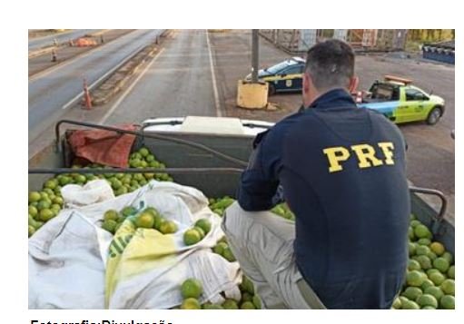 Carga de cigarros contrabandeados que viria para Colíder e interceptado pela PRF em Sorriso.
