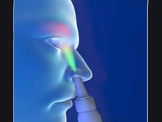 USP desenvolve vacina por spray nasal contra a covid-19