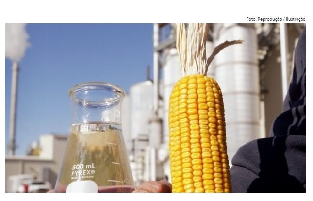 Estudo aponta que MT é o estado que mais produz etanol de milho no país