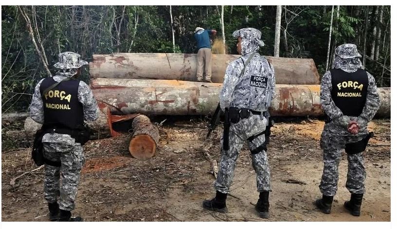 Exercito e Força Nacional estão em Novo Progresso para garantia da Lei e da Ordem Ambiental autorizada