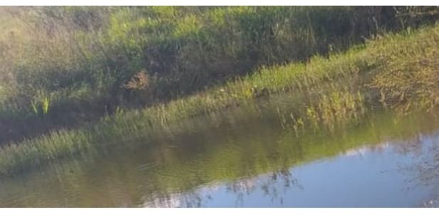 Corpo em estado de decomposição é encontrado em lagoa no município de Carlinda