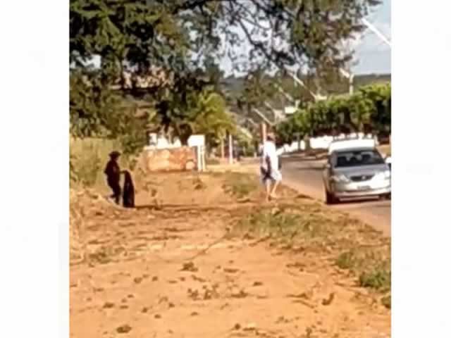 EM COLÍDER: Casal em carro de luxo joga sacolas de lixo na area central em plena luz do dia. (Video.
