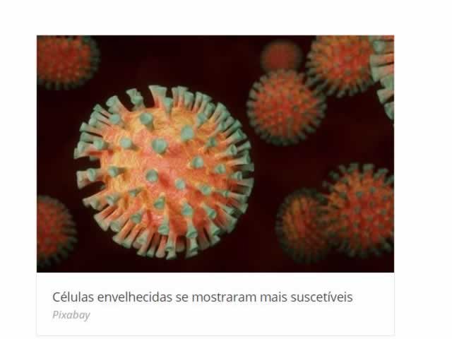 Células de gordura podem servir de depósito para o novo coronavírus