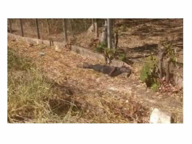 Servidor público encontra corpo perto do Detran