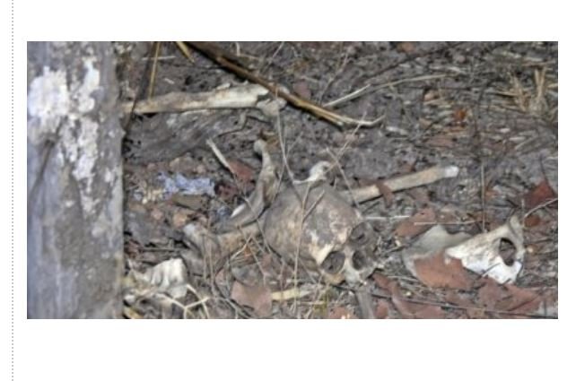 Ossada humana é encontrada em MT