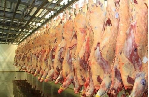 Volume exportado de carne bovina é recorde para agosto