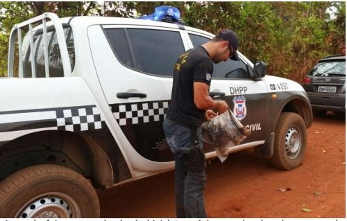 Homem que decapitou companheira e carregou cabeça em sacola é preso