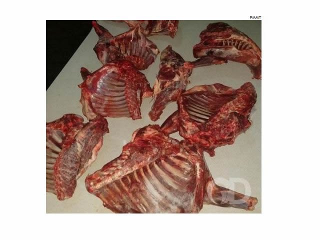 Homem é flagrado com 33 kg de carne de cateto no interior de MT