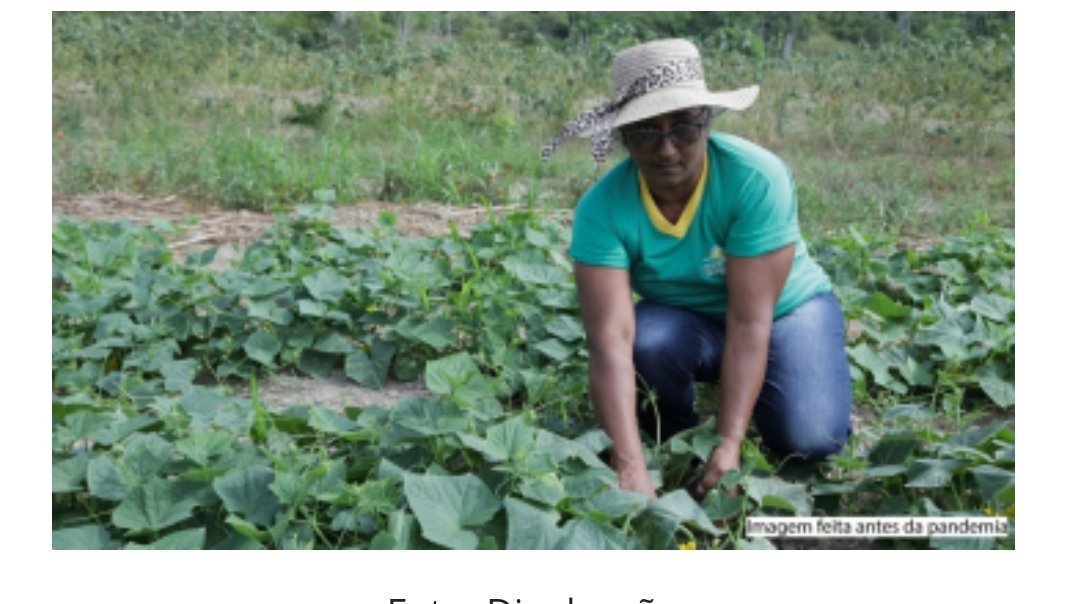 Cooperativa de agricultores de Paranaíta vira referência em produção sustentável