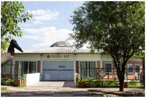 Engenheira florestal faz delação e entrega detalhes de fraudes na Sema de MTRevelação foi feita pelo