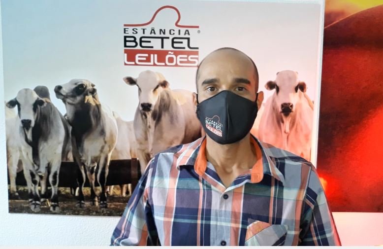 2º Leilão virtual da Estância Betel de Colíder com 1.000 animais de corte (Vídeos).