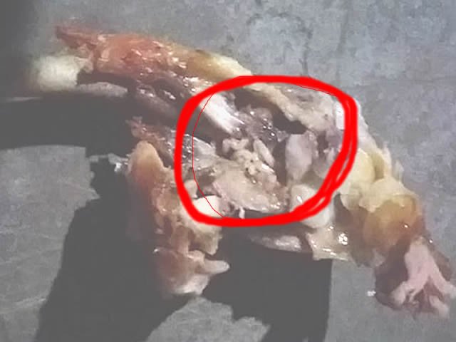Idosa em Colíder encontra larvas vivas dentro de lanche. (Vídeo com imagens FORTES)
