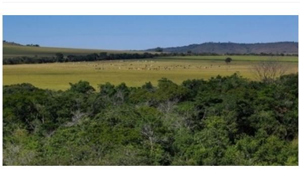 Inovação no licenciamento ambiental