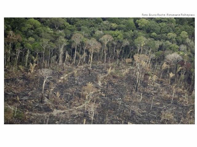 Mato Grosso é o segundo estado que mais desmata floresta amazônica; aumento de 31%