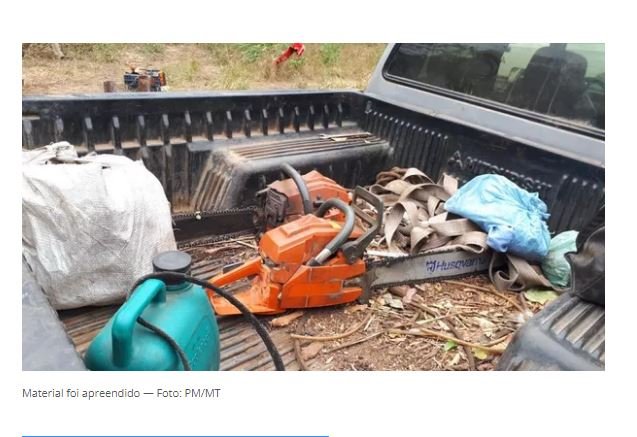 Quadrilha é presa por extração ilegal de madeira em terra indígena em MT