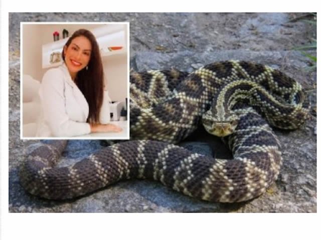Médica é internada na UTI após ser picada por cobra numa cachoeira em MT