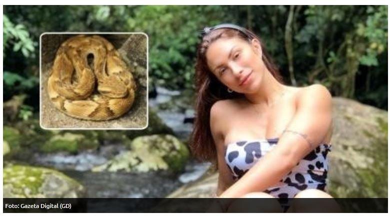 Médica que foi picada por cobra em MT deixa UTI, diz irmã