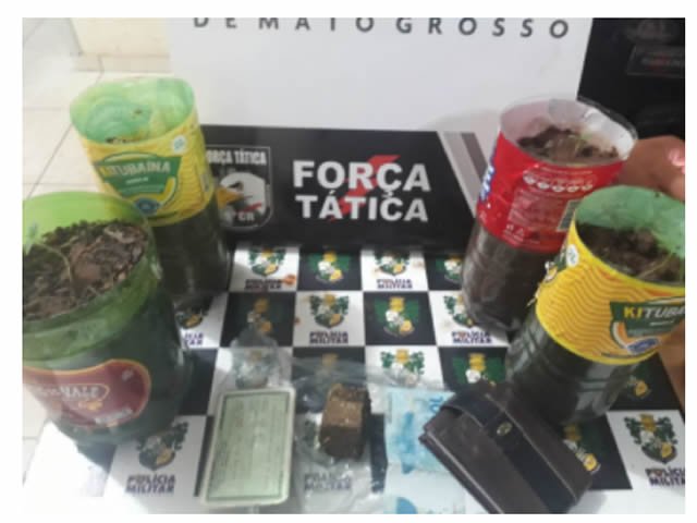 Dupla é detida por tráfico e com pés de maconha; um tinha dois mandados de prisão em aberto