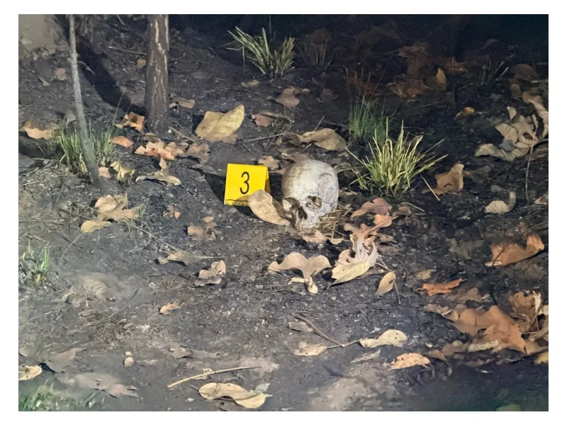 Crânio humano com sinais de carbonização é encontrado em área de mata, no Nova Esperança
