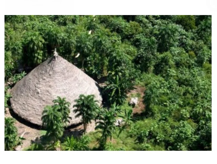 TRF nega ação de "grupo do gado" para ocupar 75 mil hectares em MT