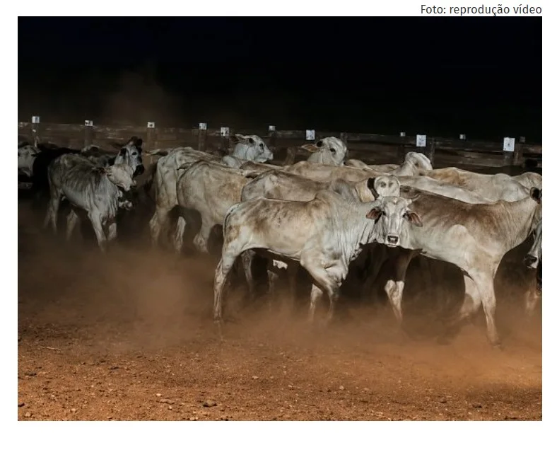 Denúncia baseada em reportagem do VGN sobre fazenda de R$ 12 milhões chega ao MP